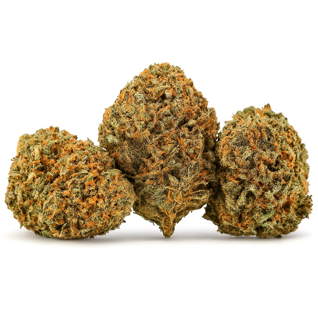 Crowd Favorites