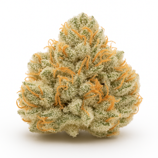 Black Truffle